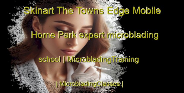 Skinart The Towns Edge Mobile Home Park expert microblading school | MicrobladingTraining | MicrobladingClasses | SkinartTraining-United States